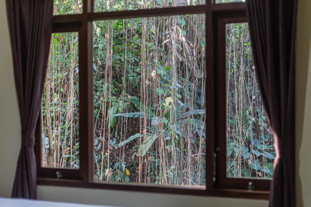 Guest house Alam Pangkung 3*