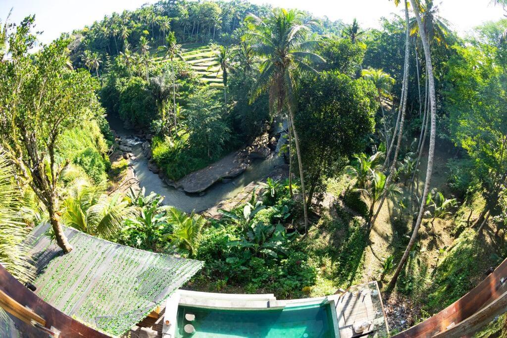 Riverside Ubud
