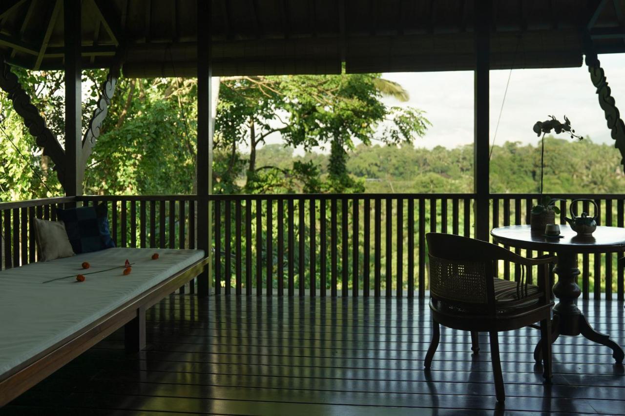 Villa Amaru