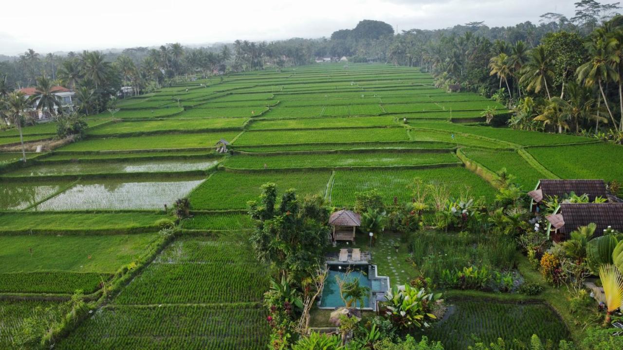 Leke Leke House Tegallalang Lodge Ubud (Bali)
