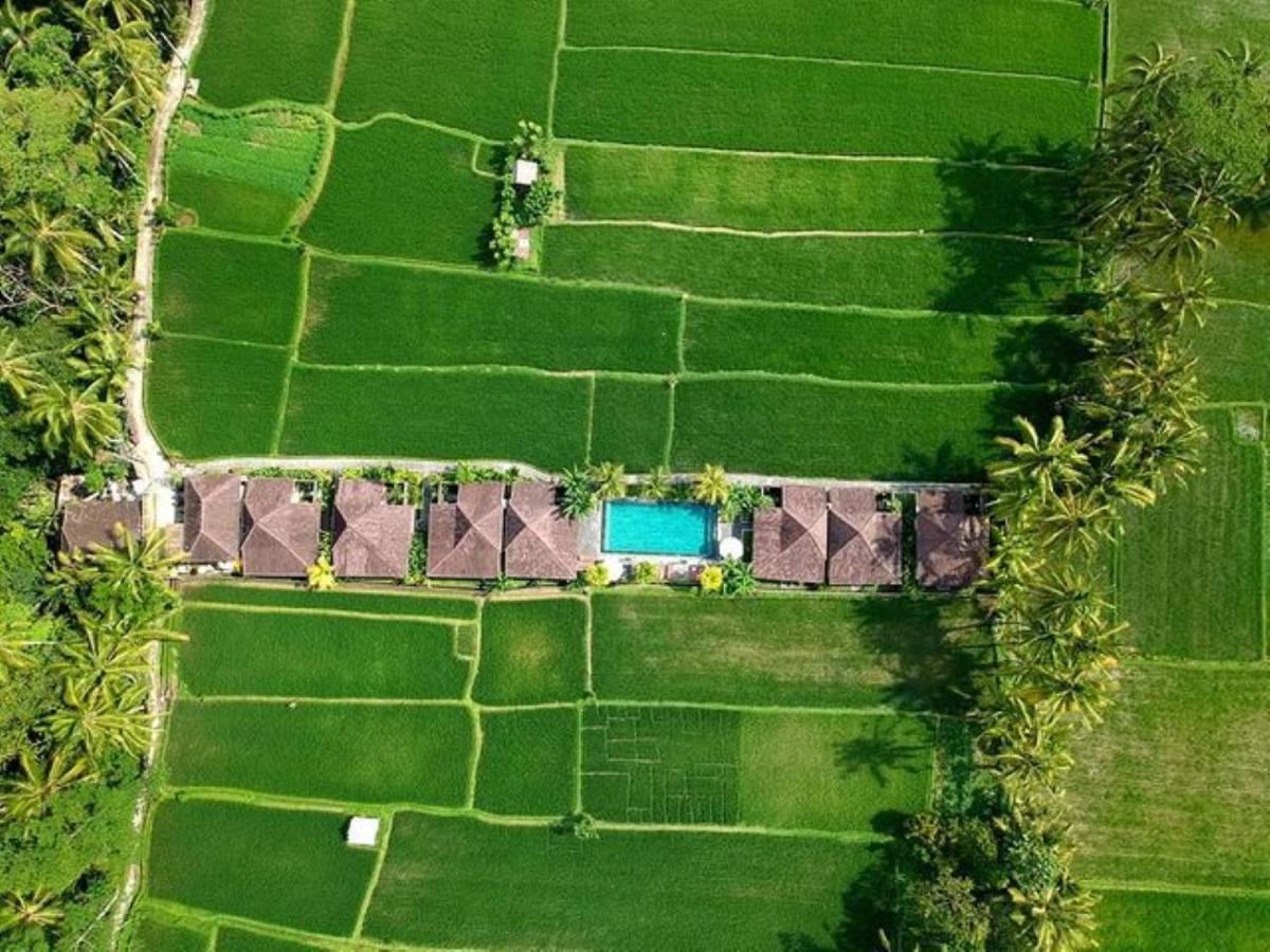 Tempat Tidur & Sarapan Intan Moding Ubud (Bali)