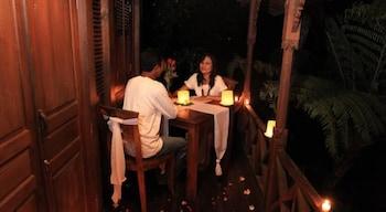 Dd Jungle Hotel