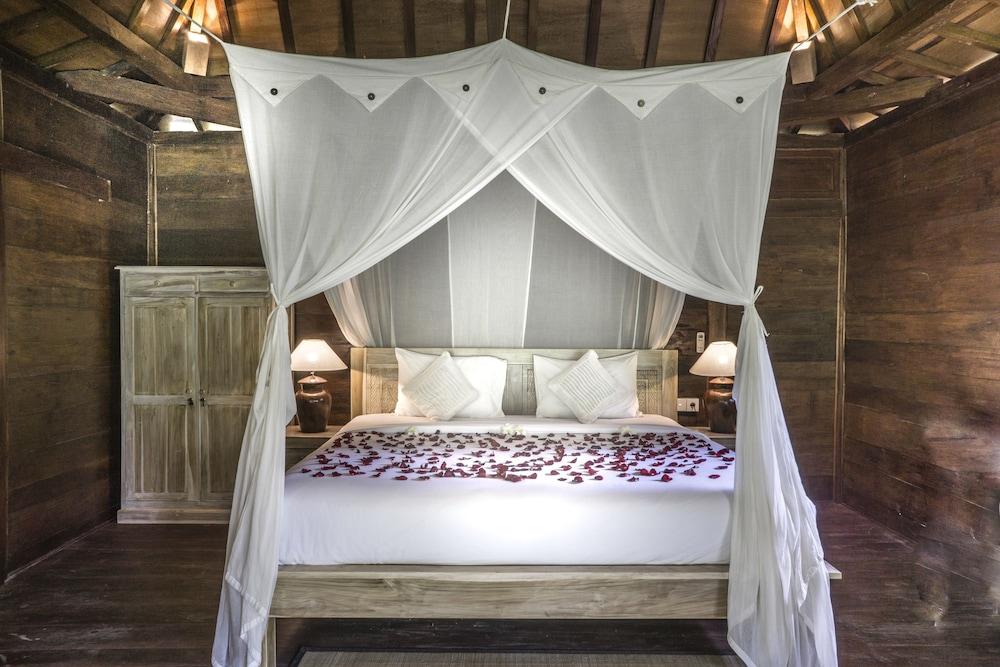 Dd Jungle Hotel 3*