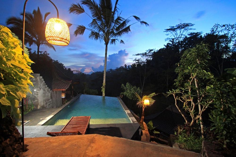 Dd Jungle Hotel 3*