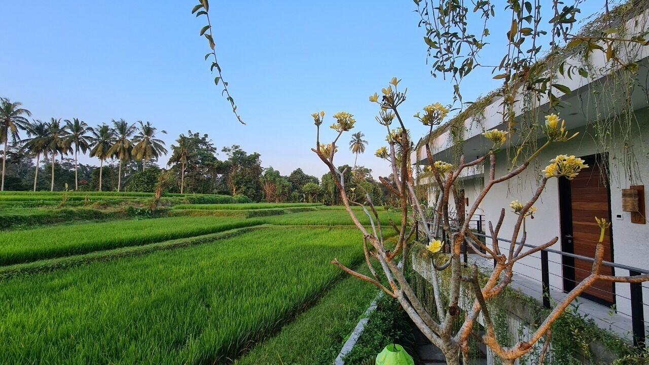 Ayurvedagram Bali