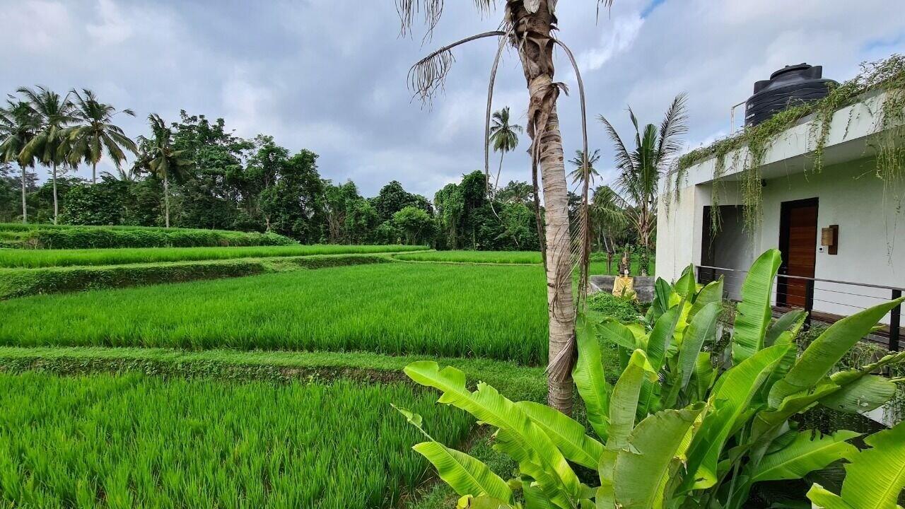 Vakantiepark Ayurvedagram Bali