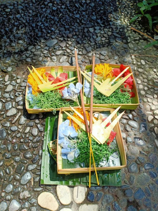 Casa de hóspedes Kasapa Ubud