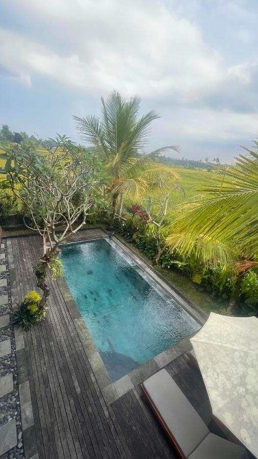 Bayad Anyar - Bali *