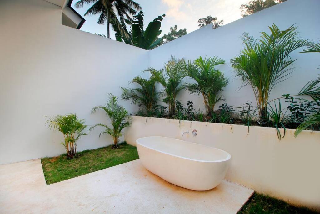 Modern And Stylish 3 Bedroom