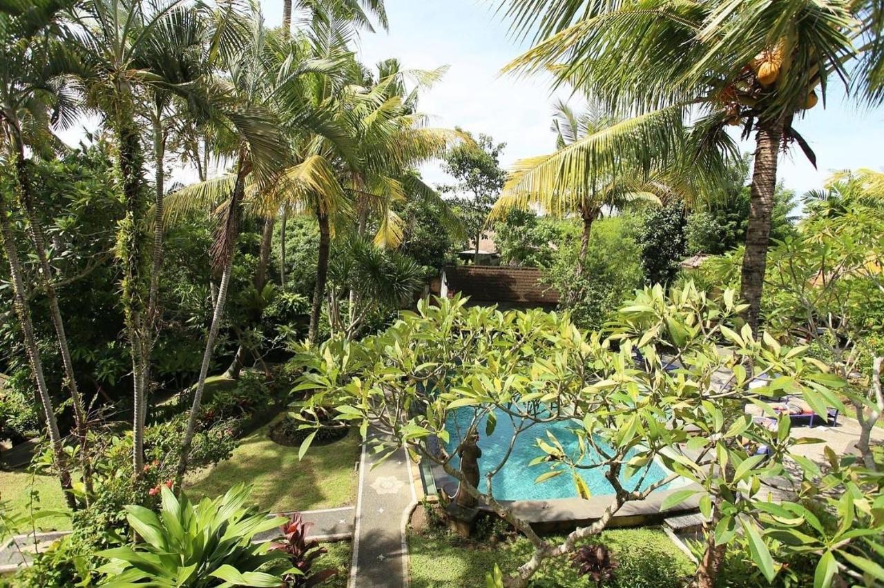 White House Hotel 3*