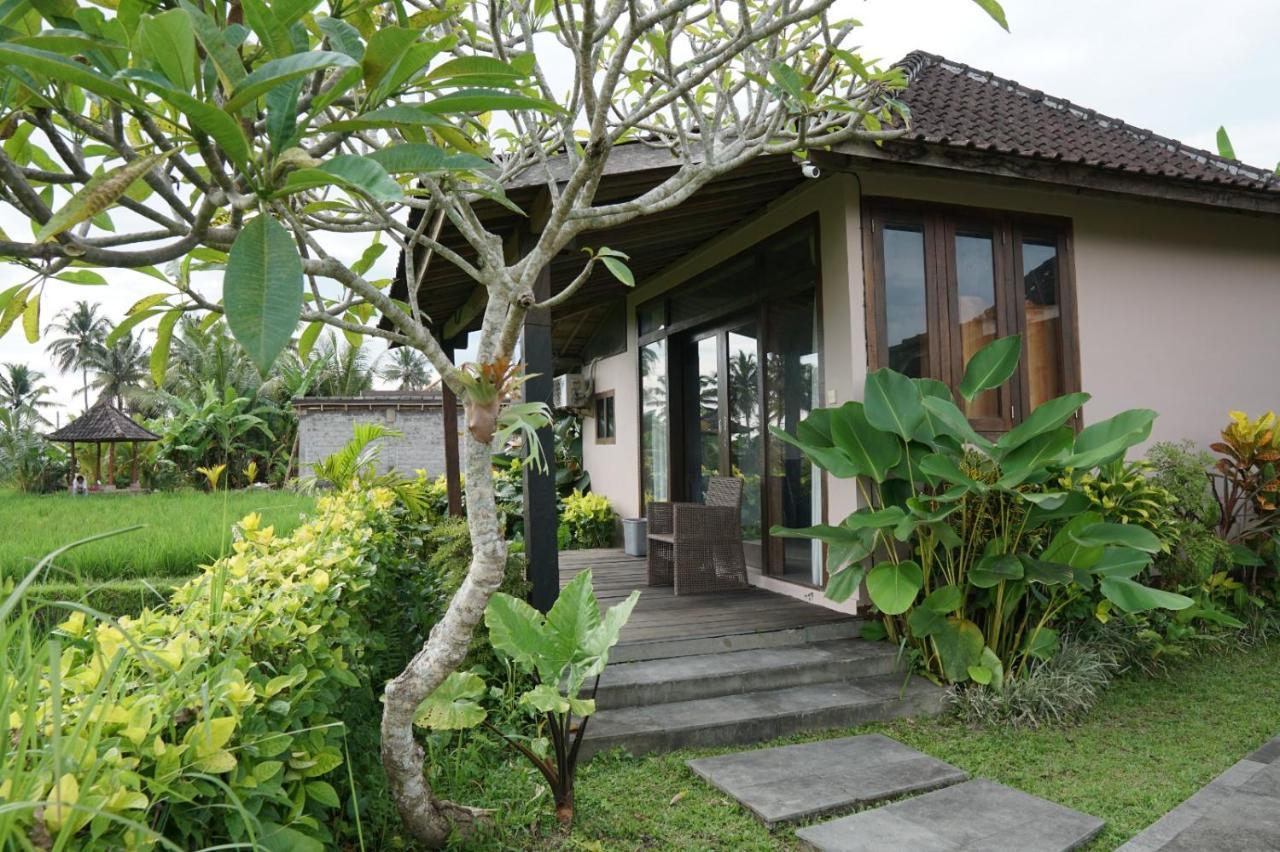 Hotel New Nirmala 5*