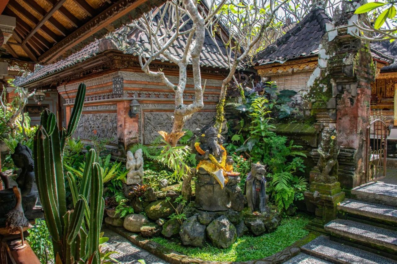 Homestay Down The Rabbit Hole