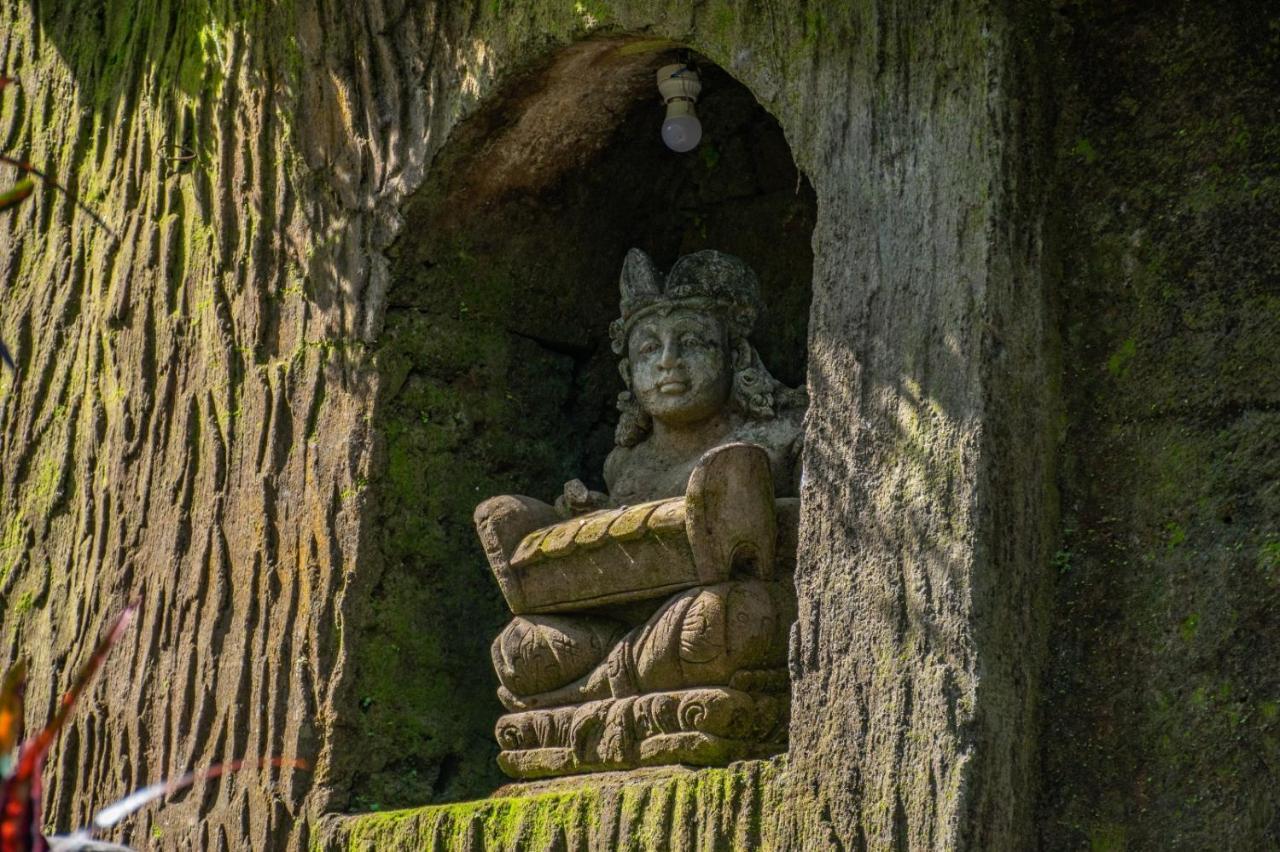 Homestay Down The Rabbit Hole
