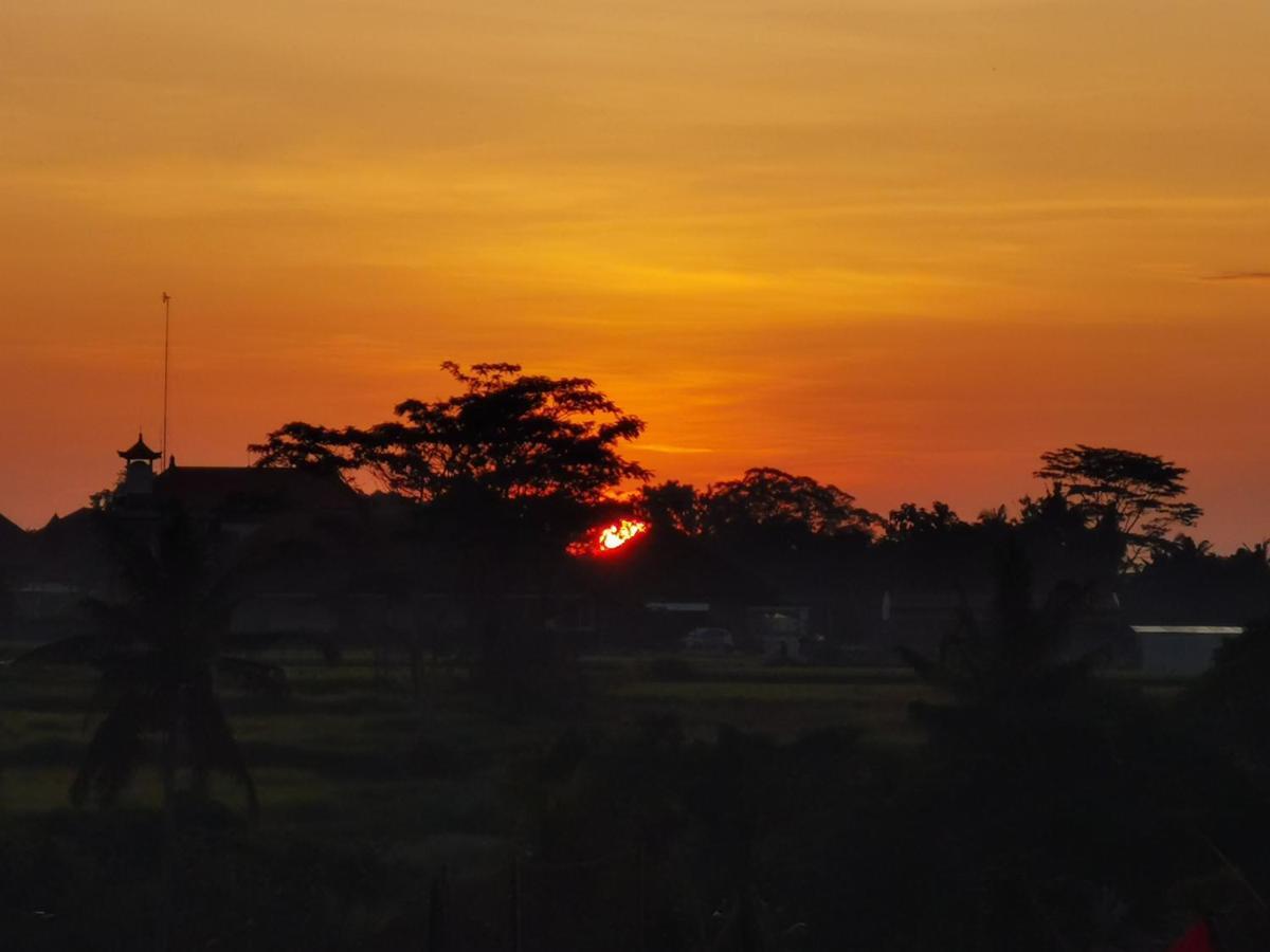 Holiday home Paya - *