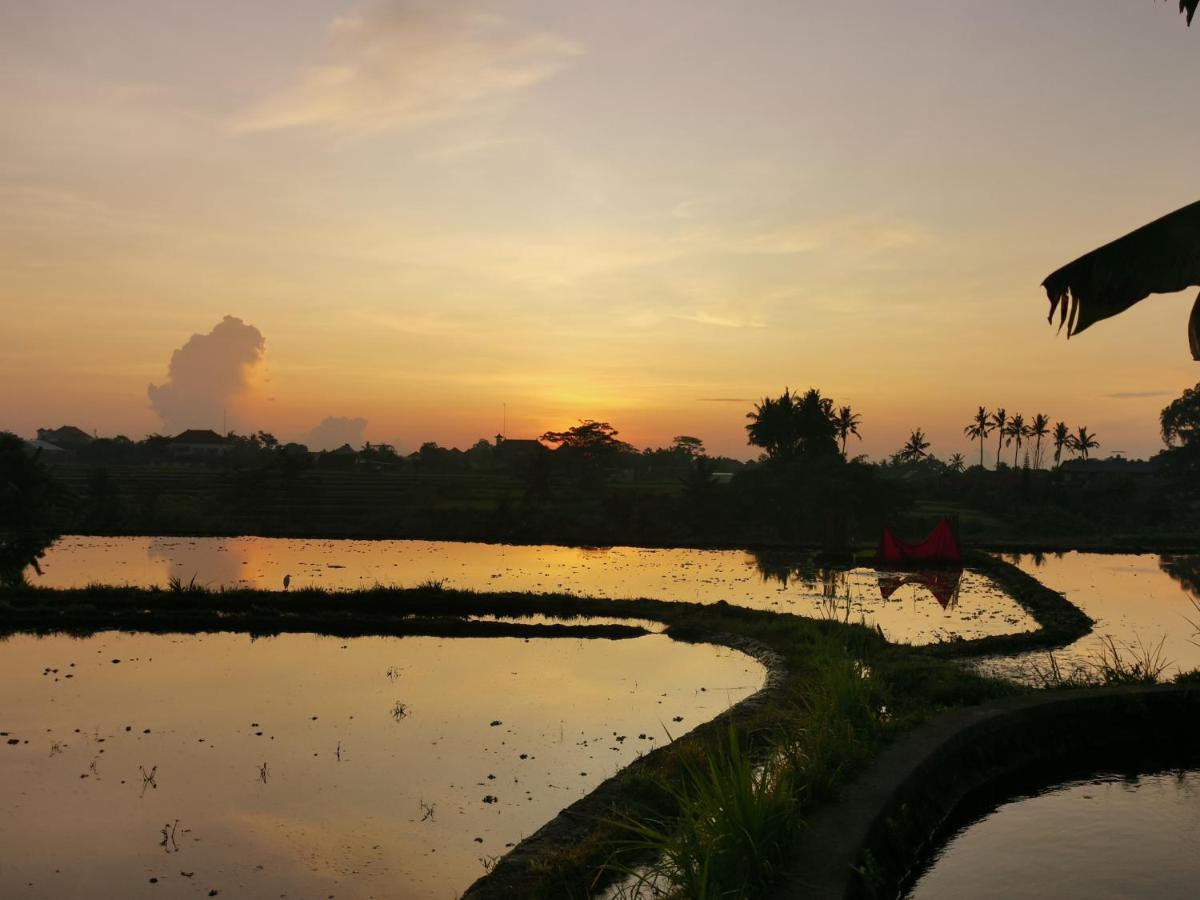 Paya - * Ubud