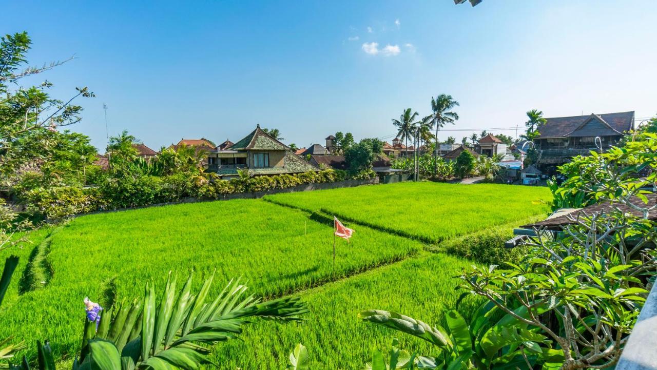 Hotel Gayatri Retreat 4*