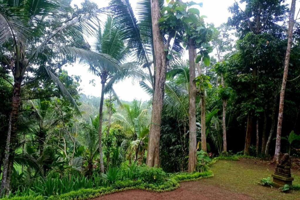 House, Quiet Place Overlooking Rice Fields Villa Ubud (Bali)