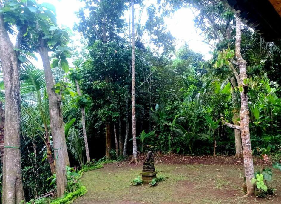 House, Quiet Place Overlooking Rice Fields Villa