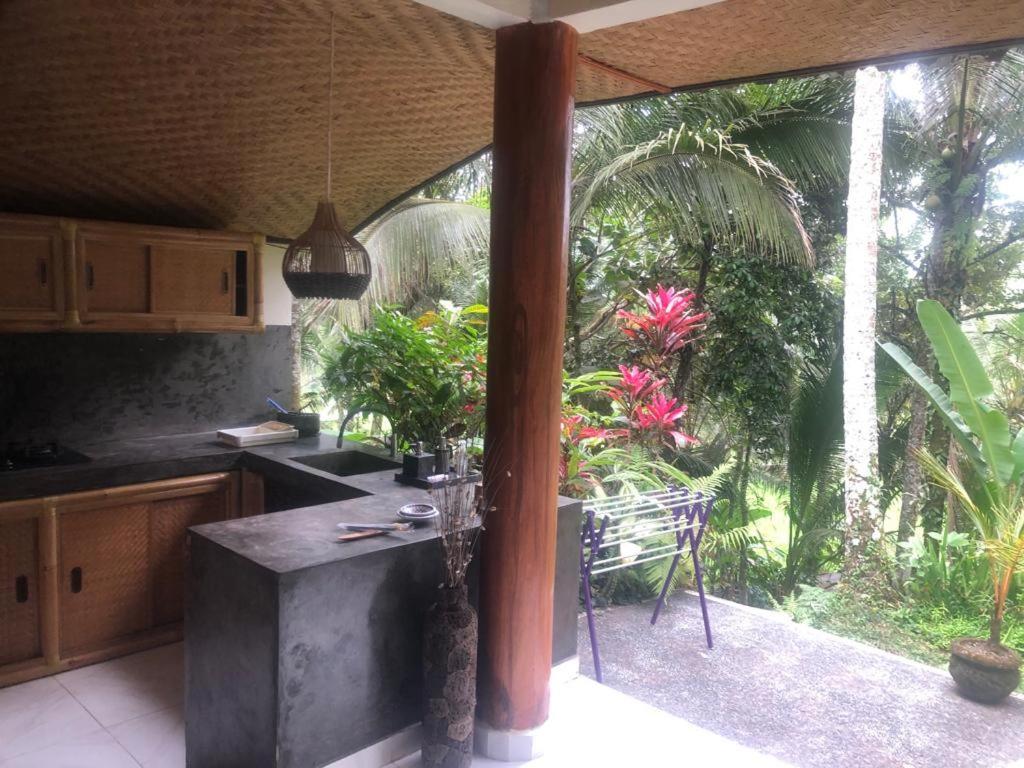 House, Quiet Place Overlooking Rice Fields *