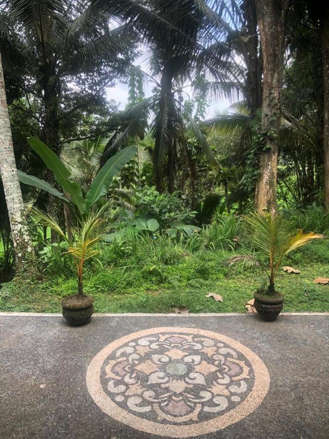 House, Quiet Place Overlooking Rice Fields * Ubud (Bali)