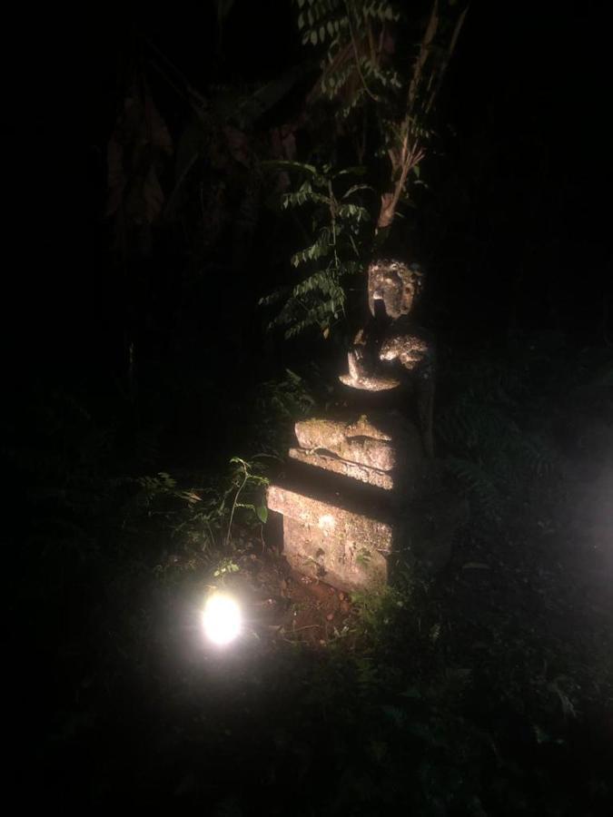 House, Quiet Place Overlooking Rice Fields Villa
