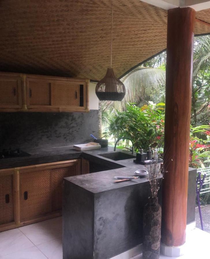 House, Quiet Place Overlooking Rice Fields Ubud (Bali)