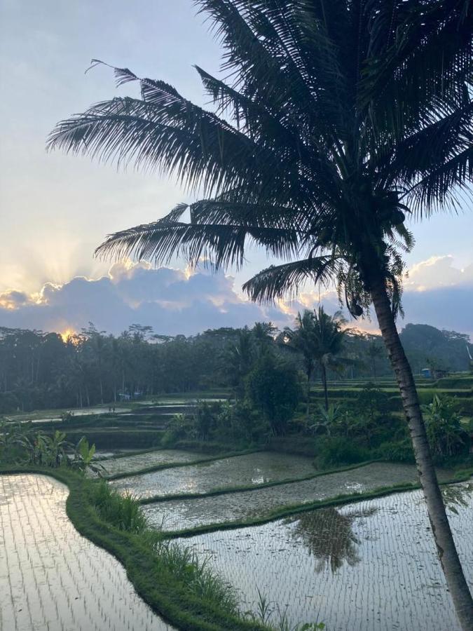House, Quiet Place Overlooking Rice Fields Ubud (Bali)