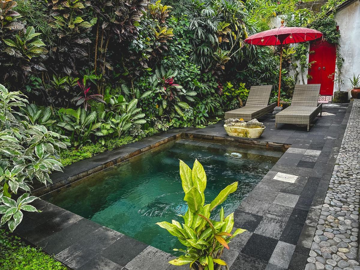 1111 Alchemy Space Bed & Breakfast Ubud (Bali)