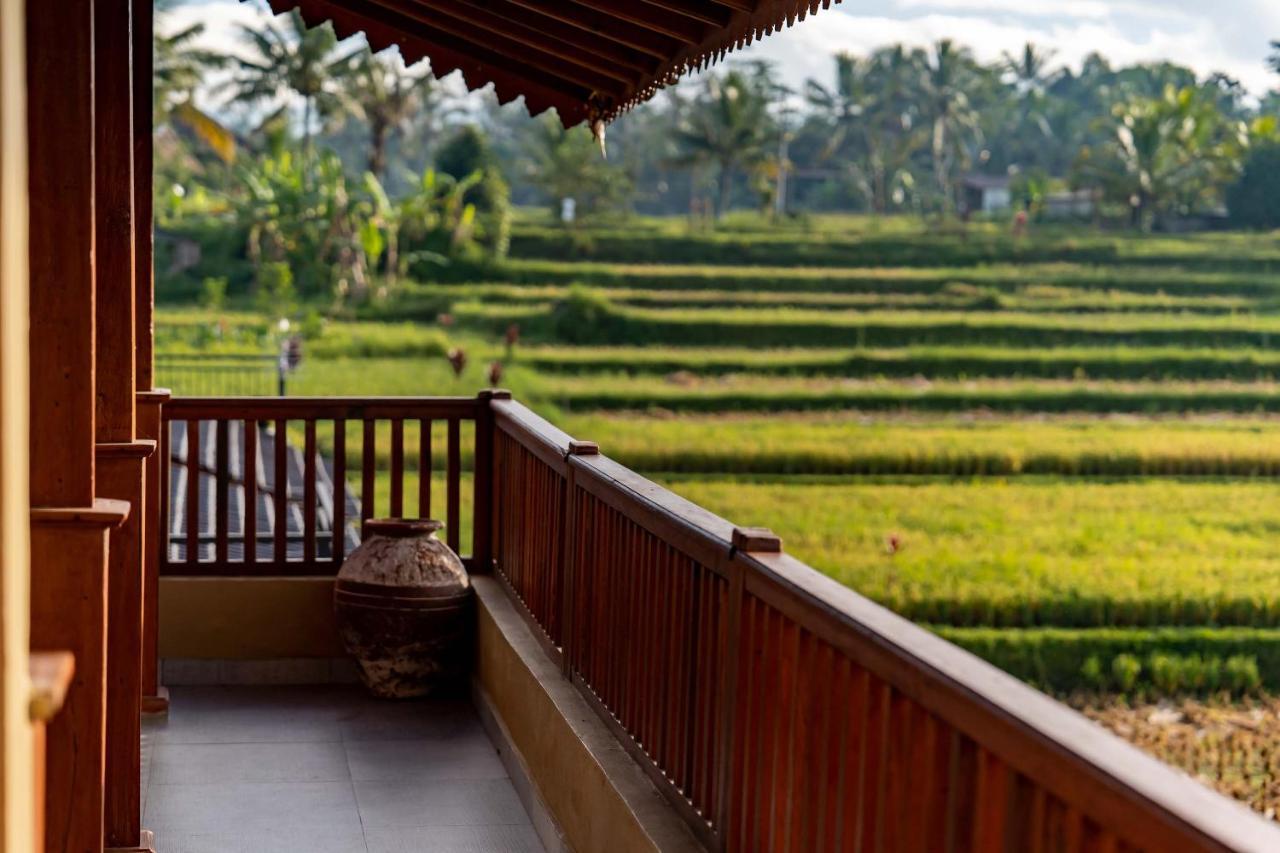 Barong Bali Ubud (Bali)