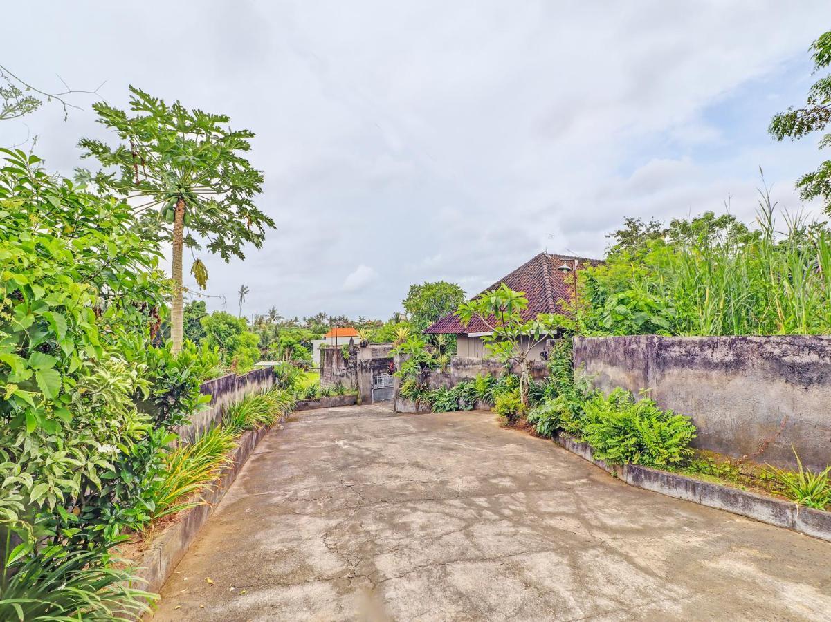 Oyo 92203 Tata 2* Ubud (Bali)