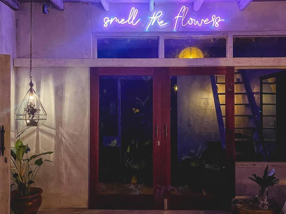 Create @1111 Barong - One Bedroom Inspiring Space Apartment Ubud (Bali)