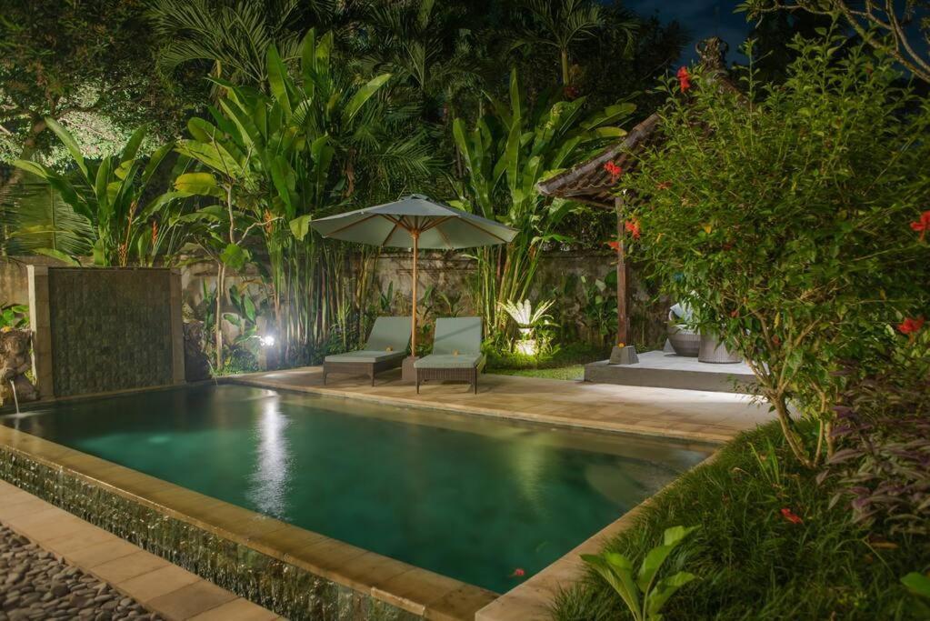Huge W/ Pool And Spectacular Rooftop Patio! Villa *