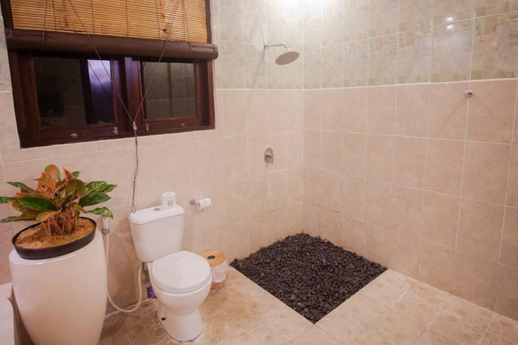 Huge W/ Pool And Spectacular Rooftop Patio! Villa *