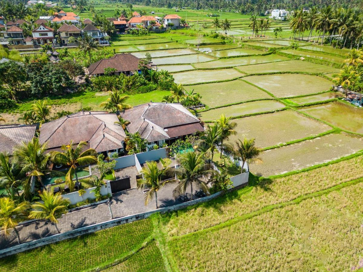 888 * Ubud