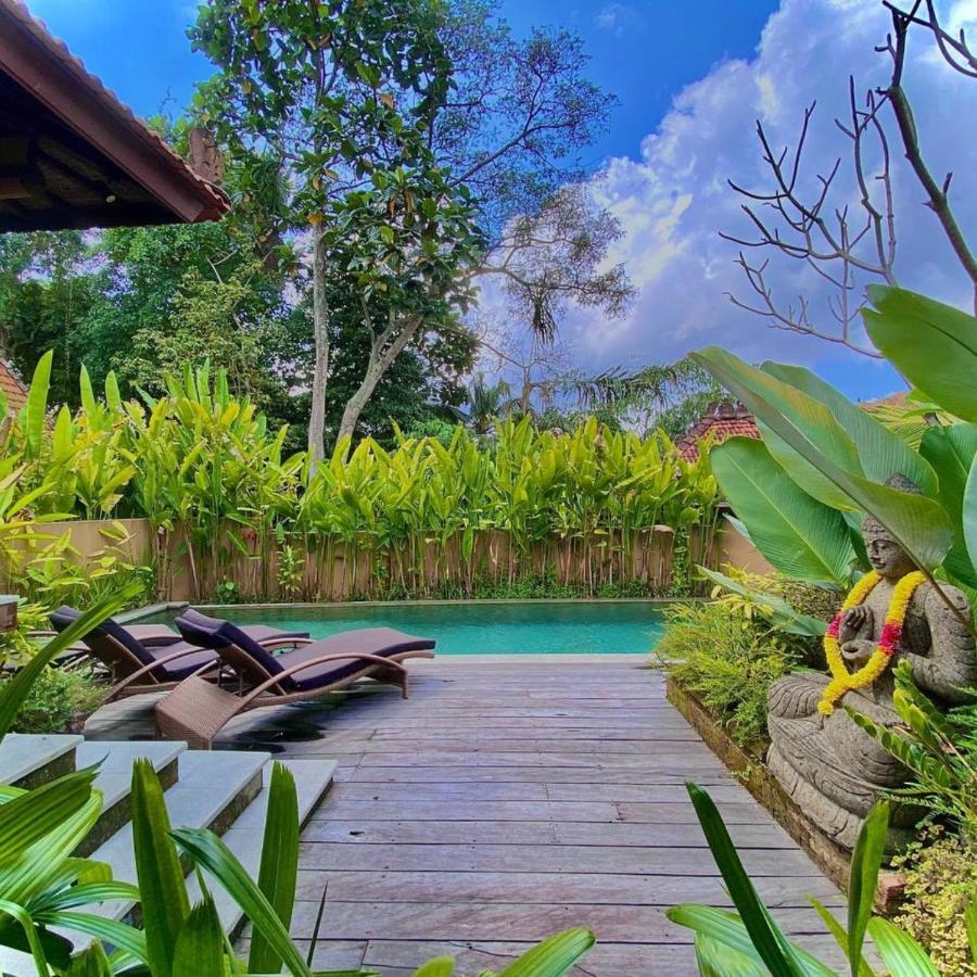 Villa Asrava *