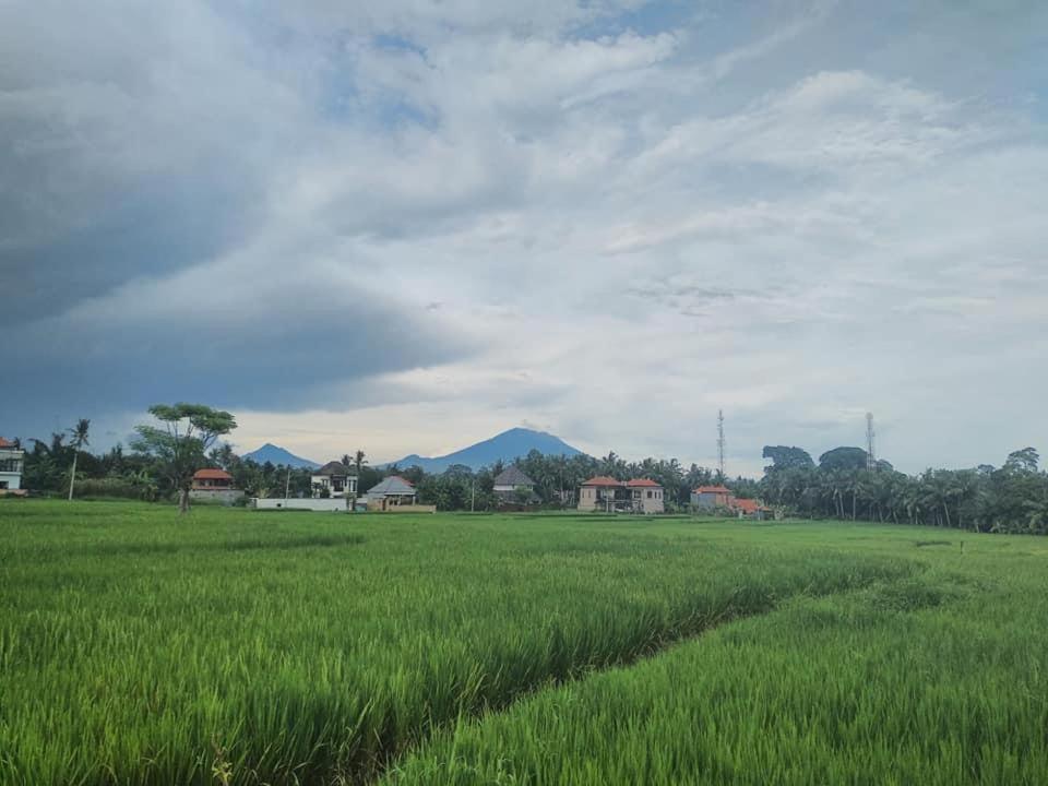 Svaha 2 *