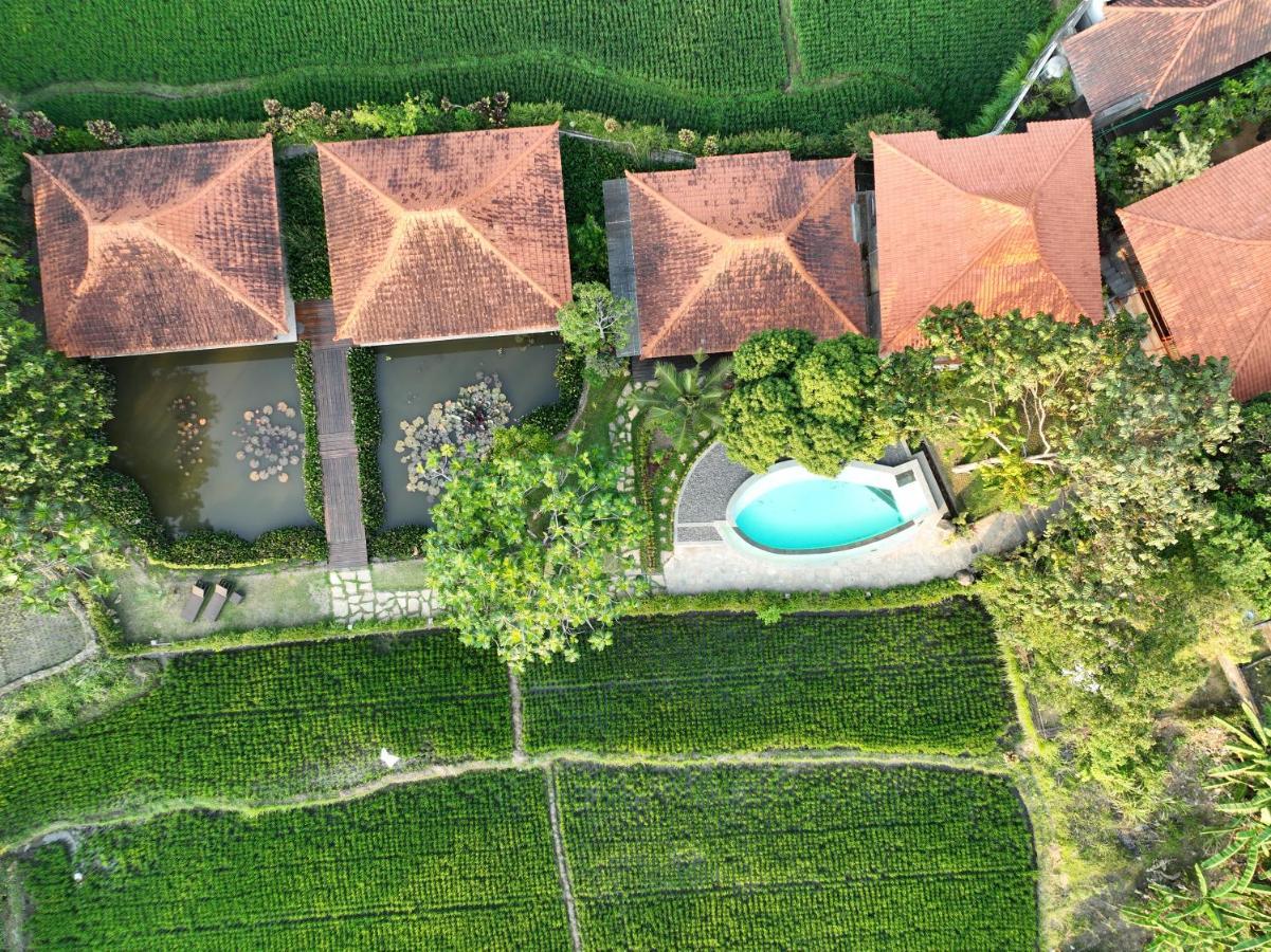 Griya Kcb Hotel Ubud (Bali)