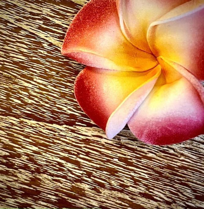 Boho Bellissimo Villa Ubud