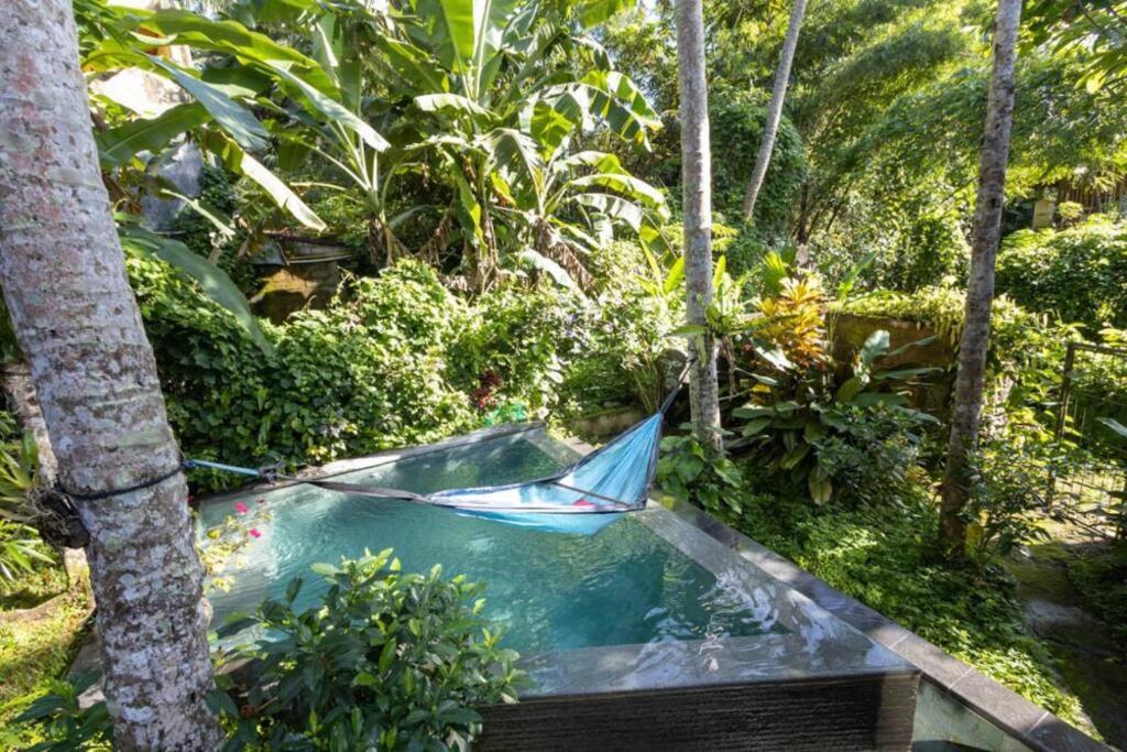 Treehouse With Private Pool Near Yogabarn - In Center Ubud (Bali)