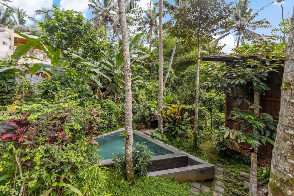 Treehouse With Private Pool Near Yogabarn - In Center