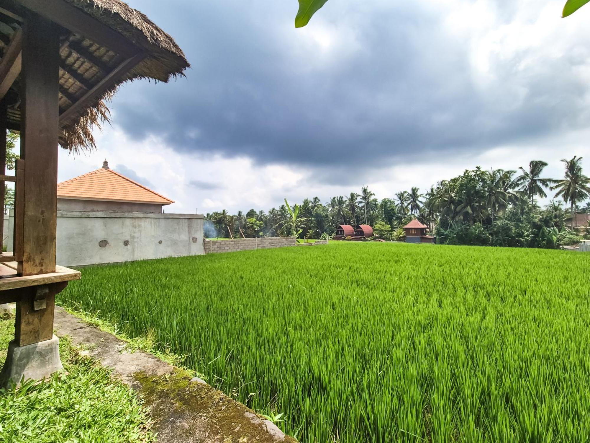 Padi Menari Pousada Ubud