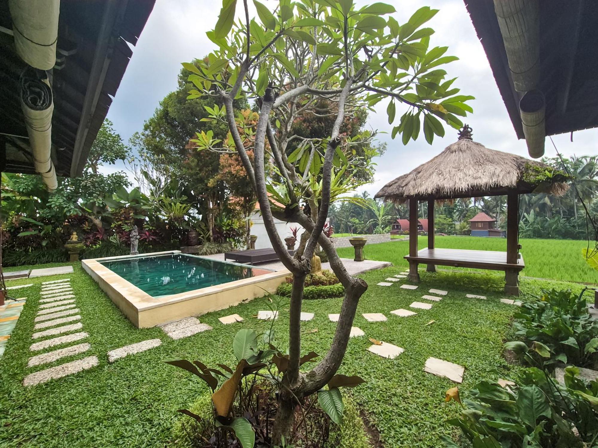Padi Menari * Ubud