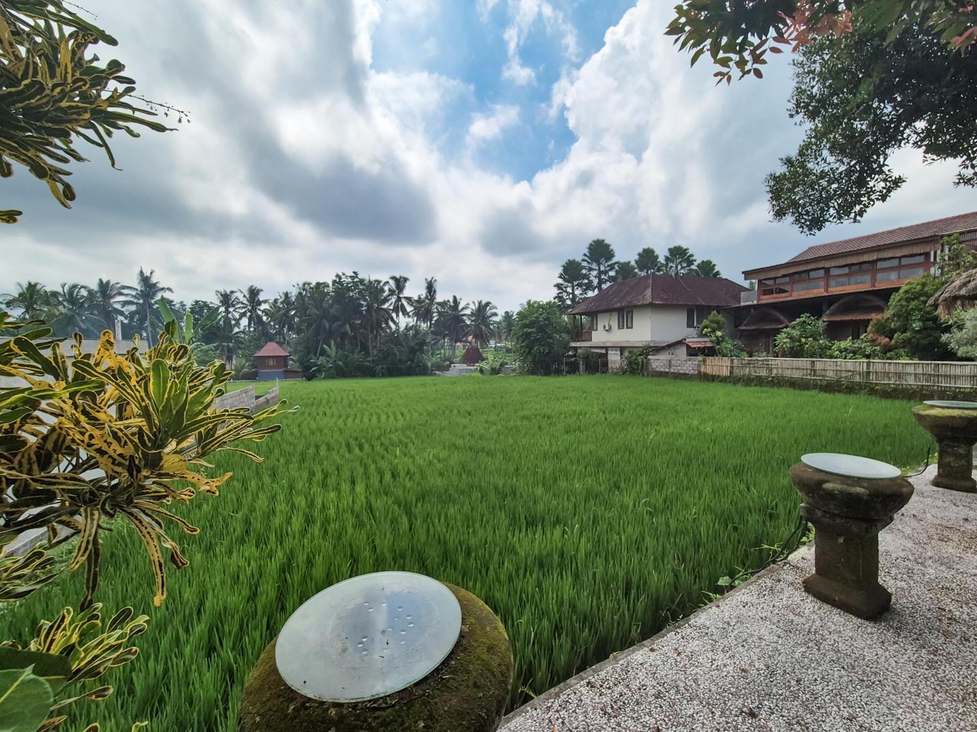 Padi Menari Pousada *