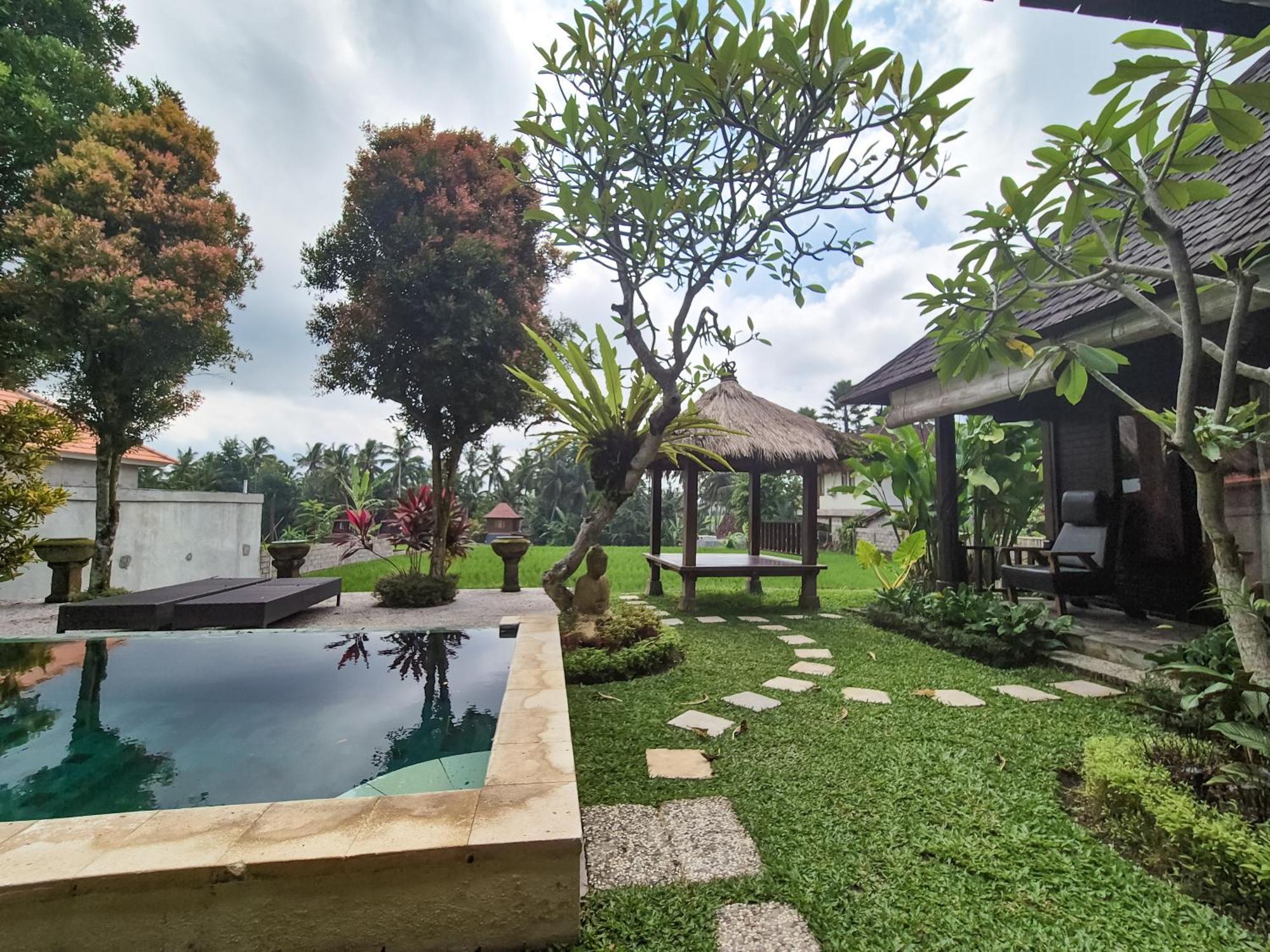 Padi Menari *
