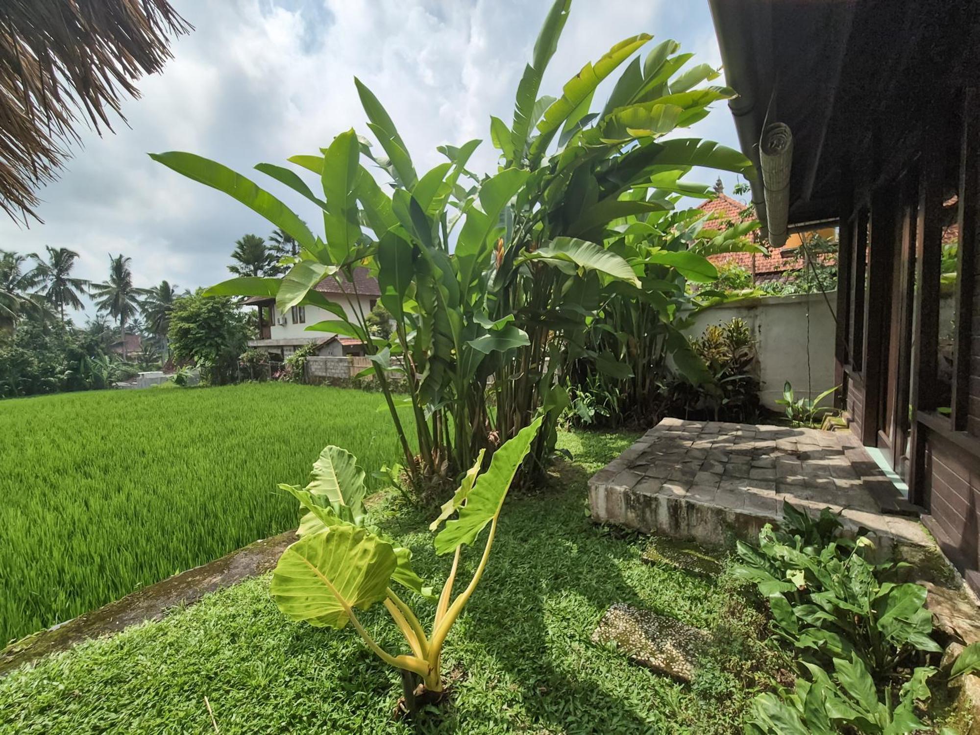 Padi Menari Pousada *