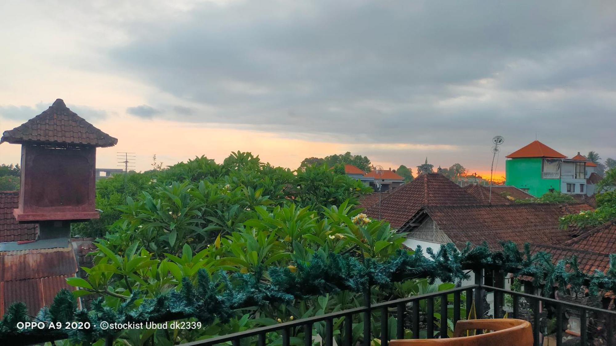 Danu House Ubud (Bali)