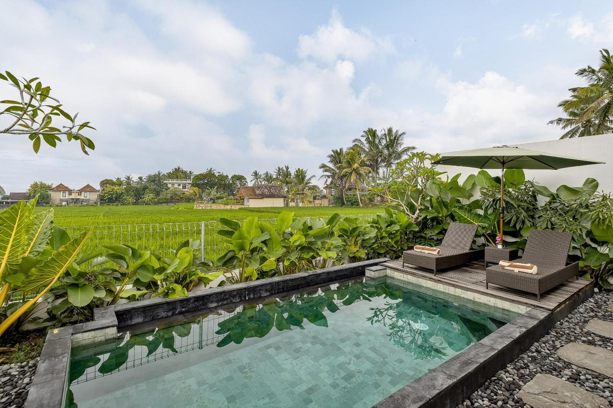 Sheva Villa Ubud (Bali)