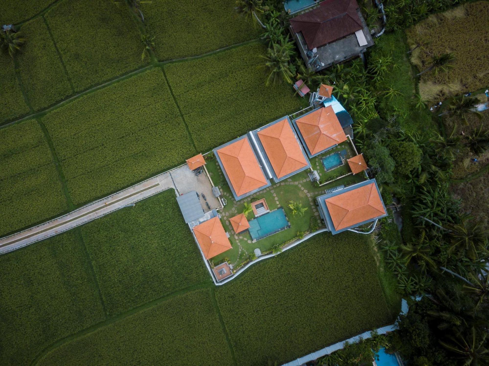 The Patra Villa Ubud