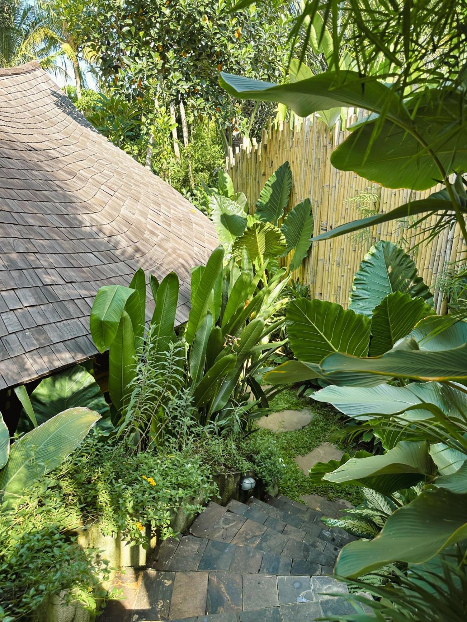 Wahem Eco Bamboo
