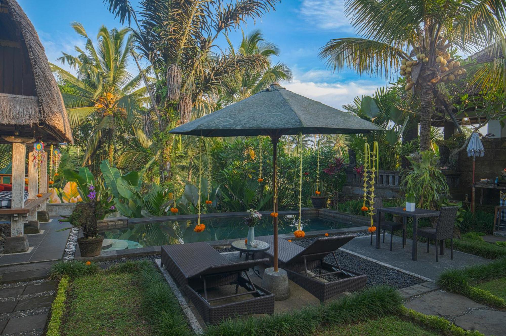 Taluh Bebek Private Ubud (Bali)